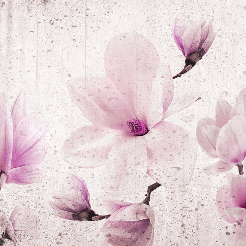Runa Art Wandbilder Blumen Magnolien 5 Teilig Bild auf Vlies Leinwand Deko Wohnzimmer Abstrakt Grau Rosa 007752b