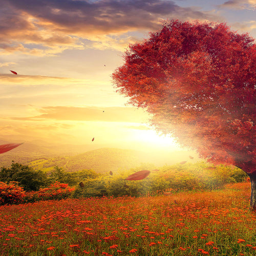 Runa Art Bild Herbst Baum Herz Wandbilder auf Vlies Leinwand 5 Teilig Wanddekoration Wohnzimmer Schlafzimmer 605856a