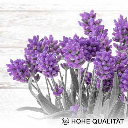 Novart Wandbilder - KEIN EXTRA RAHMEN BENÖTIGT - Wohnzimmer Schlafzimmer - Bilder Modern Home Provence - Lavendel Viollet - N003065a