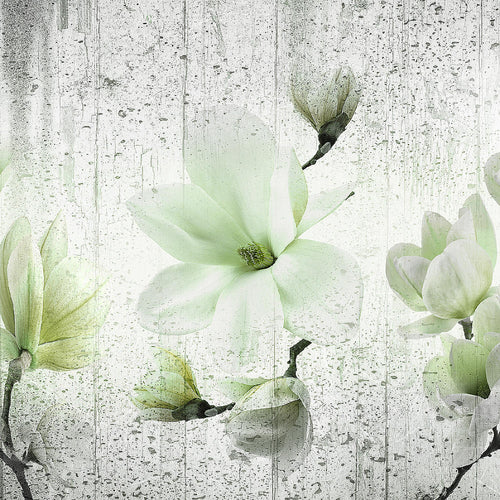Runa Art Wandbild Blumen Magnolien 1 Teilig 100 x 40 cm Modern Bild auf Vlies Leinwand Abstrakt Wohnzimmer Grau Rosa 007712b