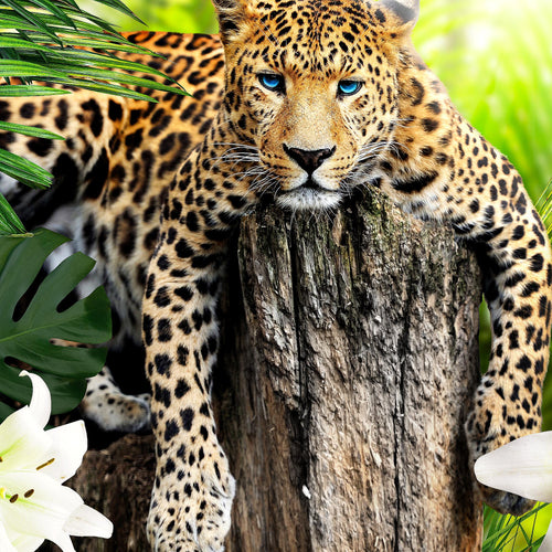 Runa Art Bild Afrika Leopard Modern Wandbilder Wohnzimmer Schlafzimmer 1 Teilig - Made In Germany - Natur Savanne Grün Flur 006715a