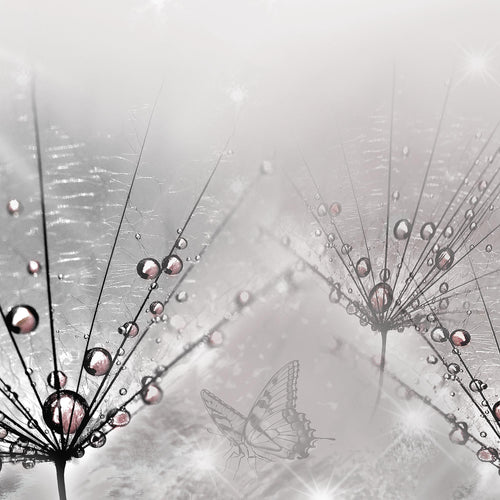 Runa Art Bild Pusteblume Modern Wandbilder Wohnzimmer Schlafzimmer 1 Teilig - Made In Germany - Natur Grau Flur 016915c