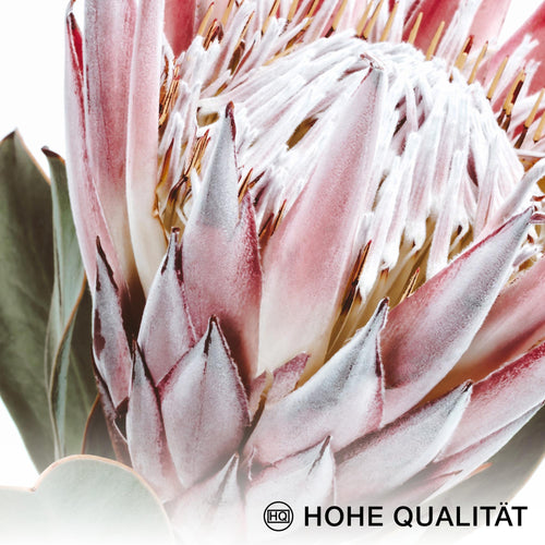 Novart Wandbilder - KEIN EXTRA RAHMEN BENÖTIGT - Wohnzimmer Schlafzimmer - Bilder Modern Grüne Blätter Pflanze - Natur Blumen  - N005365a