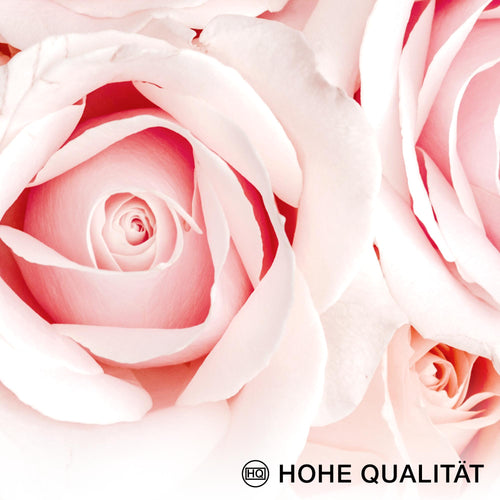 Novart Wandbilder Blumen Coco - KOMPLETT AUFHÄNGFERTIG - Beauty Rosa Zitate Mädchenzimmer Teenager - 7 Moderne Mood-Bilder - N016171a