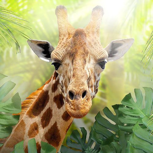 Runa Art Wandbild Giraffe Abstrakt 1 Teilig 100 x 40 cm Modern Bild auf Vlies Leinwand Tiere Wohnzimmer Schlafzimmer Grün 037512c