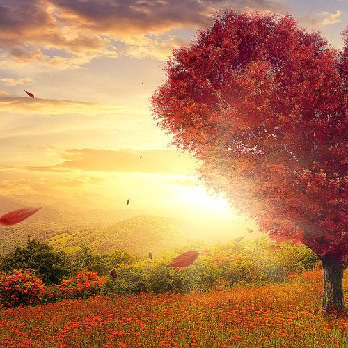 Runa Art Wandbild Herbst Baum Herz 1 Teilig 100 x 40 cm Modern Bild auf Vlies Leinwand Natur Wohnzimmer Schlafzimmer Rot Blau 605812a