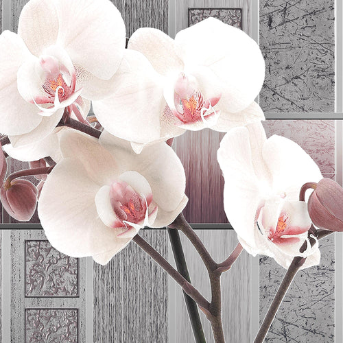 Runa Art - Bilder Blumen Pflanzen 200 x 100 cm 5 Teilig XXL Wanddekoration Design Orchidee Weiß 204651a