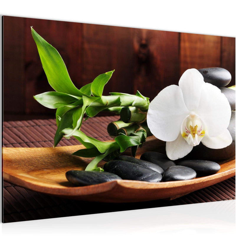 Runa Art Bild Feng Shui Orchidee Modern Wandbilder Wohnzimmer Schlafzimmer 1 Teilig - Made In Germany - Steine Braun Grün Flur 502315a
