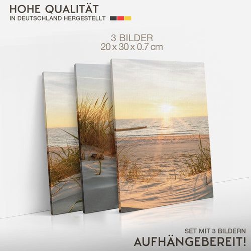 Novart Quadros Spiaggia Mare Boho - Completamente Pronto Da Appendere - Soggiorno Camera da letto Corridoio Decorazione Elegante - Set 3 Pezzi Beige - N034730a