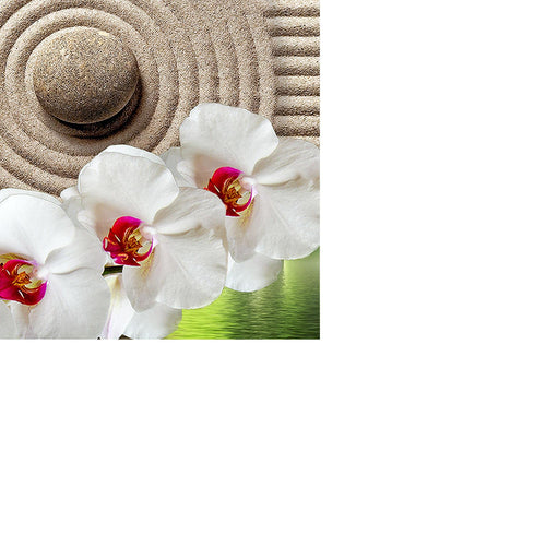 Runa Art Bild Feng Shui Orchidee Modern Wandbilder Wohnzimmer Schlafzimmer 1 Teilig - Made In Germany - Steine Spa Grün Beige Flur 501115b