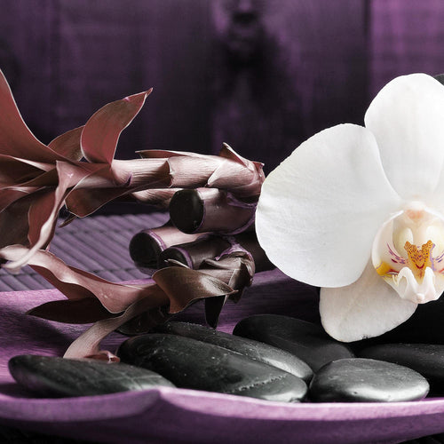 Runa Art Bild Feng Shui Orchidee Modern Wandbilder Wohnzimmer Schlafzimmer 1 Teilig - Made In Germany - Relax Lila Violett Flur 502315b