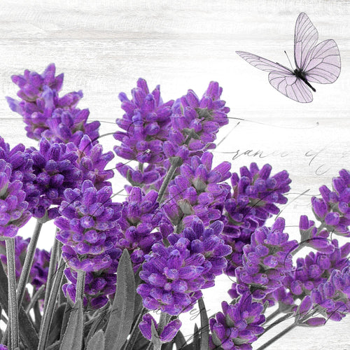 Novart Wandbilder - KEIN EXTRA RAHMEN BENÖTIGT - Wohnzimmer Schlafzimmer - Bilder Modern Home Provence - Lavendel Viollet - N002965a