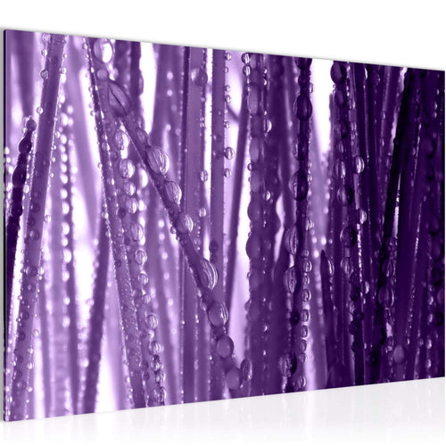 Runa Art Bild Gräser Morgentau Modern Wandbilder Wohnzimmer Schlafzimmer 1 Teilig - Made In Germany - Spa Violett Lila Flur 200715b