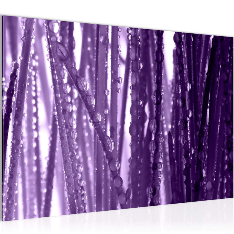 Runa Art Bild Gräser Morgentau Modern Wandbilder Wohnzimmer Schlafzimmer 1 Teilig - Made In Germany - Spa Violett Lila Flur 200715b