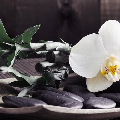 Runa Art Bild Feng Shui Orchidee Modern Wandbilder Wohnzimmer Schlafzimmer 1 Teilig - Made In Germany - Bambus Schwarz Weiss Flur 502315c