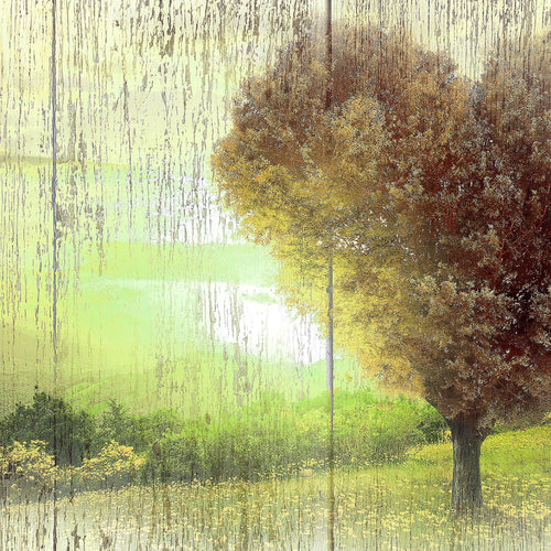 Runa Art Bild Wohnzimmer Schlafzimmer Herbst Vintage 5 Teilig Baum Herz Türkis Wandbilder auf Vlies Leinwand 606553b