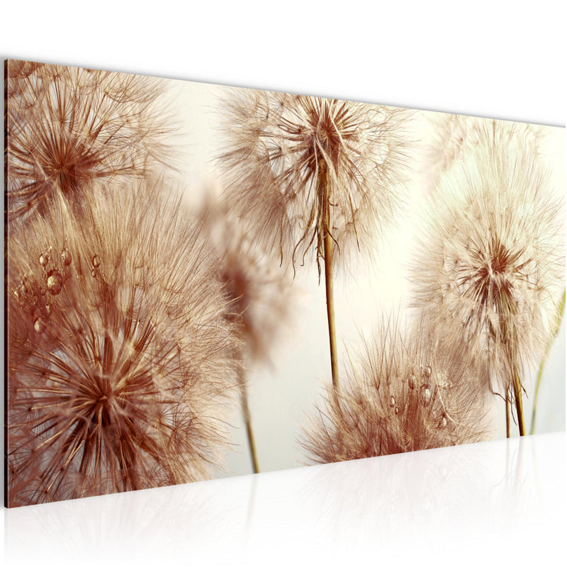 Runa Art Wandbild Blumen Pusteblumen 100 x 40 cm Modern Bild auf Vlies Leinwand Natur Wohnzimmer Beige 042012b