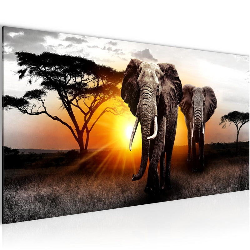 Runa Art Wandbild Afrika 100 x 40 cm Modern Bild auf Vlies Leinwand Orange Wohnzimmer Schlafzimmer Büro Elefanten 007612a