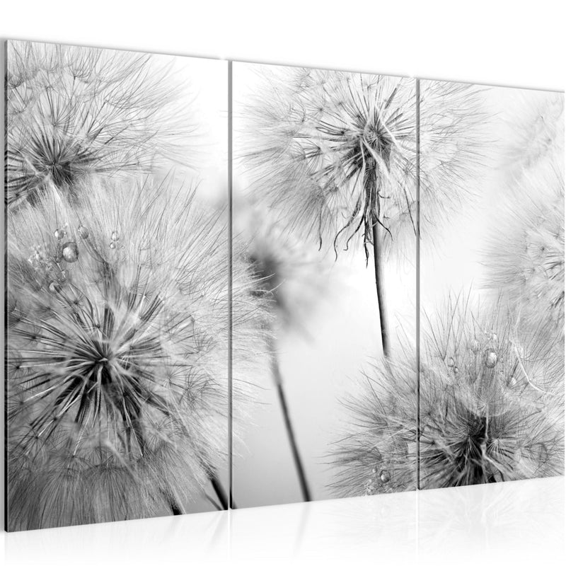 Runa Art Wandbilder Blumen Pusteblumen Bild XXL Wohnzimmer Schlafzimmer Schwarz Weiss Natur 120 x 80 cm 3 Teilig 042031c