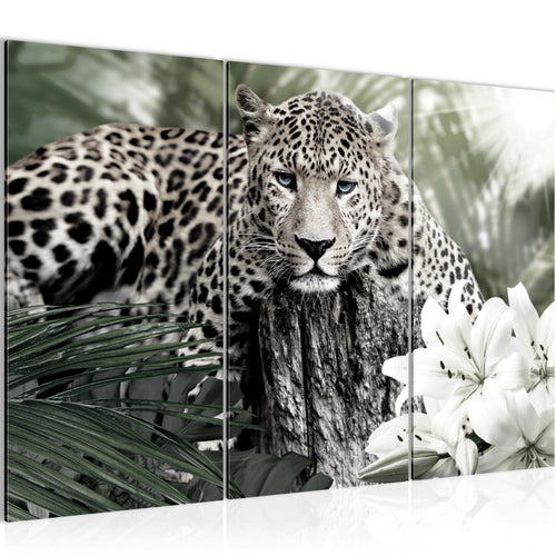 Runa Art Wandbilder Afrika Leopard Bild XXL Wohnzimmer Schlafzimmer Schwarz Weiss Tiere 120 x 80 cm 3 Teilig 006731c