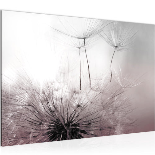 Runa Art Bild Pusteblumen Modern Wandbilder Wohnzimmer Schlafzimmer 1 Teilig - Made In Germany - Blumen Rosa Grau Flur 053615b