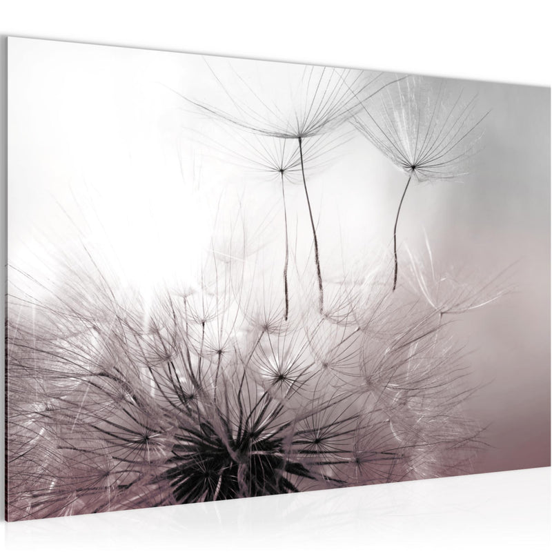 Runa Art Bild Pusteblumen Modern Wandbilder Wohnzimmer Schlafzimmer 1 Teilig - Made In Germany - Blumen Rosa Grau Flur 053615b