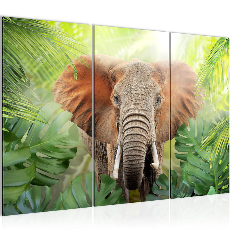 Runa Art Wandbilder Elefant Abstrakt Bild XXL Wohnzimmer Schlafzimmer Grün Natur 120 x 80 cm 3 Teilig 037531b