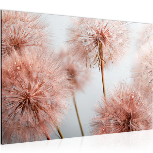 Runa Art Bild Blumen Pusteblumen Modern Wandbilder Wohnzimmer 1 Teilig - Made In Germany - Natur Grau Rosa Flur 042015a