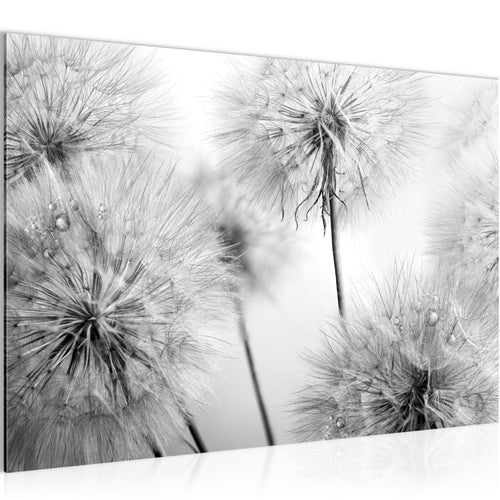 Runa Art Bild Blumen Pusteblumen Modern Wandbilder Wohnzimmer 1 Teilig - Made In Germany - Natur Schwarz Weiss Flur 042015c