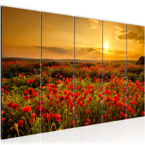 Runa Art Bild Mohnblumen Wandbilder auf Vlies Leinwand 5 Teilig Wanddekoration Wohnzimmer Schlafzimmer 043956a