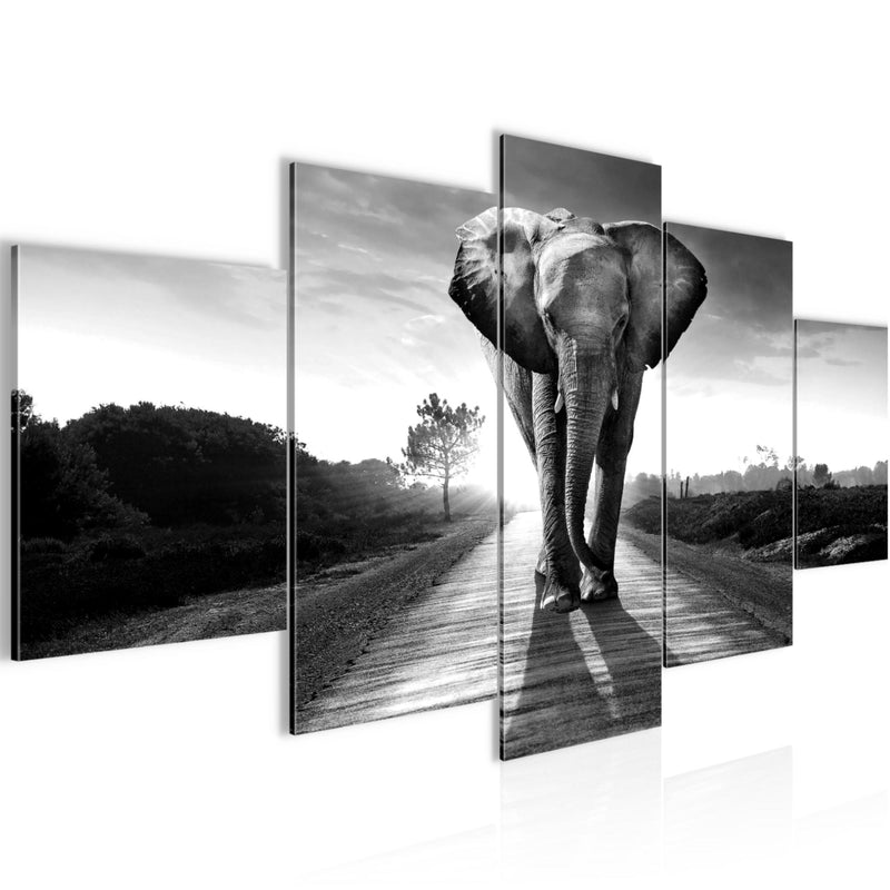 Runa Art Wandbilder Afrika Elefant 5 Teilig Bild auf Vlies Leinwand Deko Wohnzimmer Schlafzimmer Tiere Schwarz Weiss 042652c