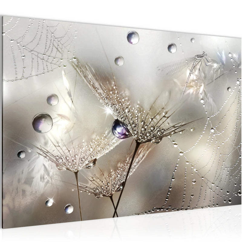 Runa Art Bild Blumen Pusteblumen Modern Wandbilder Wohnzimmer 1 Teilig - Made In Germany - Morgentau Braun Flur 043115a