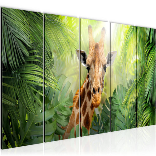 Runa Art Bild Giraffe Abstrakt Wandbilder auf Vlies Leinwand 5 Teilig Wanddekoration Wohnzimmer Schlafzimmer 037556c