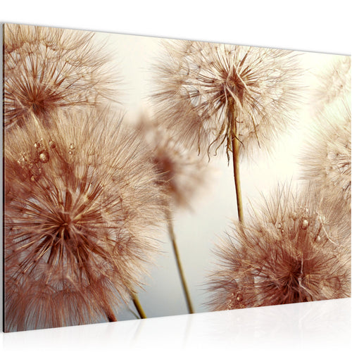 Runa Art Bild Blumen Pusteblumen Modern Wandbilder Wohnzimmer 1 Teilig - Made In Germany - Natur Beige Flur 042015b