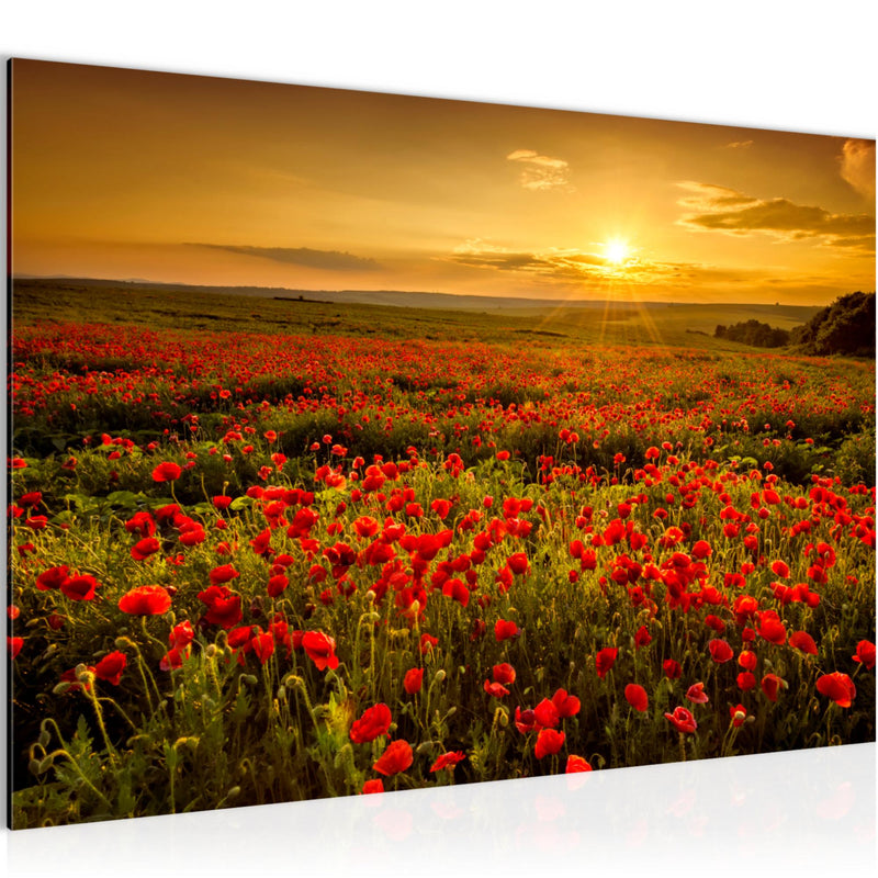 Runa Art Bild Mohnblumen Modern Wandbilder Wohnzimmer Schlafzimmer 1 Teilig - Made In Germany - Blumenwiese Sonnenutergang Rot Flur 043915a