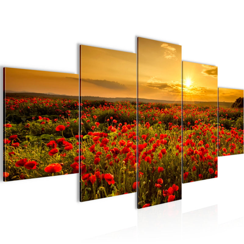 Runa Art Bild Wohnzimmer Schlafzimmer Mohnblumen 5 Teilig Blumenwiese Sonnenutergang Rot Wandbilder auf Vlies Leinwand 043953a