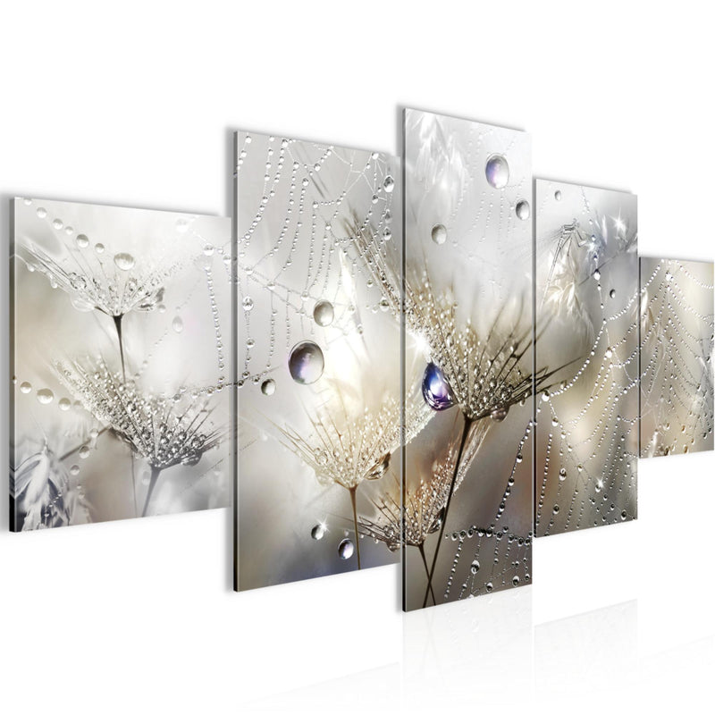 Runa Art Bild Wohnzimmer Schlafzimmer Blumen Pusteblumen 5 Teilig Morgentau Braun Wandbilder auf Vlies Leinwand 043153a