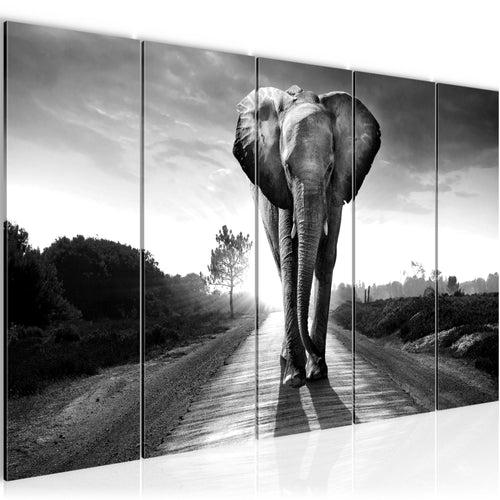 Runa Art Bild Afrika Elefant Wandbilder auf Vlies Leinwand 5 Teilig Wanddekoration Wohnzimmer Schlafzimmer 042656c