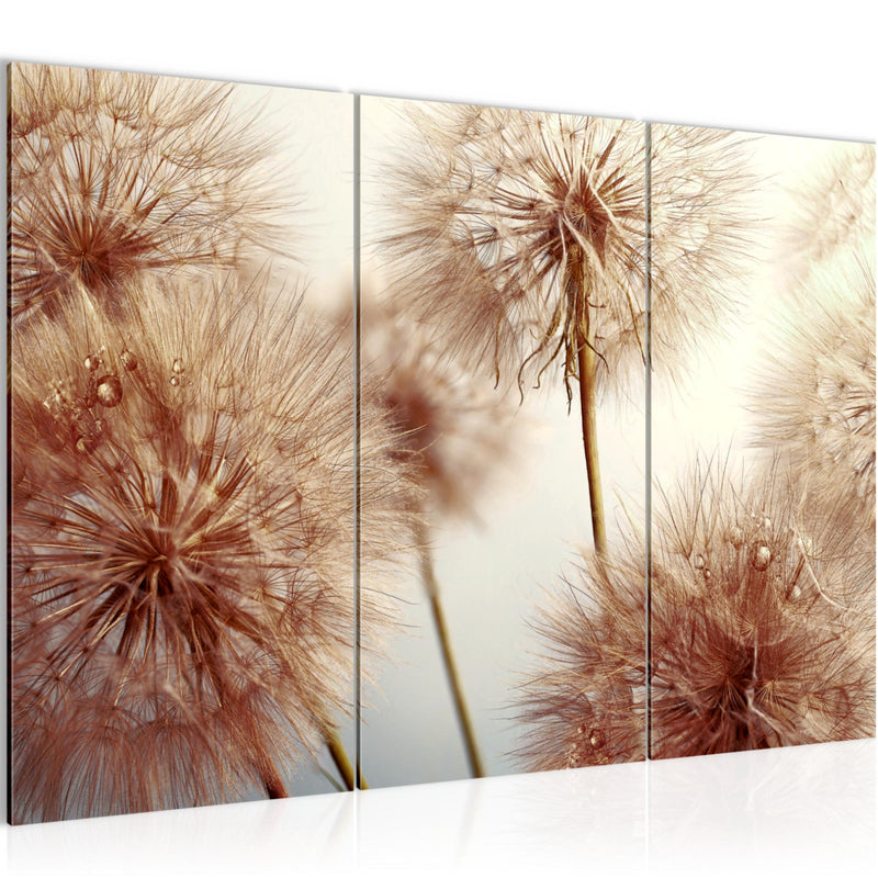 Runa Art Wandbilder Blumen Pusteblumen Bild XXL Wohnzimmer Schlafzimmer Beige Natur 120 x 80 cm 3 Teilig 042031b