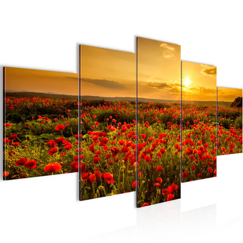 Runa Art - Bilder Mohnblumen 200 x 100 cm 5 Teilig XXL Wanddekoration Design Rot 043951a