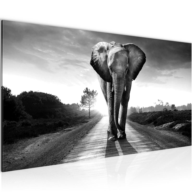 Runa Art Wandbild Afrika Elefant 100 x 40 cm Modern Bild auf Vlies Leinwand Tiere Wohnzimmer Schlafzimmer Schwarz Weiss 042612c