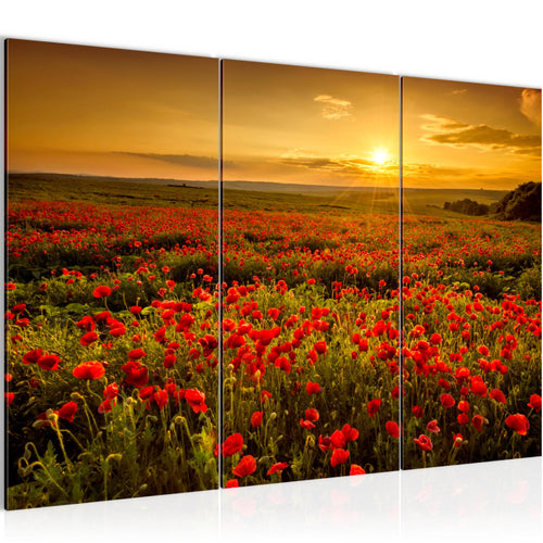 Runa Art Wandbilder Mohnblumen Bild XXL Wohnzimmer Schlafzimmer Rot Blumenwiese Sonnenutergang 120 x 80 cm 3 Teilig 043931a