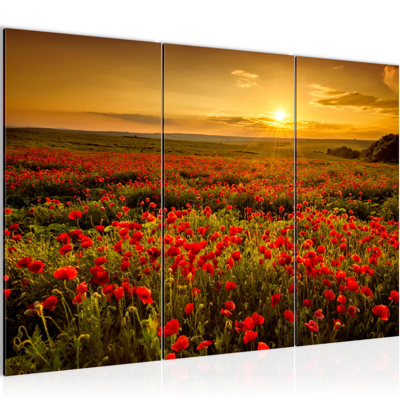 Runa Art Wandbilder Mohnblumen Bild XXL Wohnzimmer Schlafzimmer Rot Blumenwiese Sonnenutergang 120 x 80 cm 3 Teilig 043931a