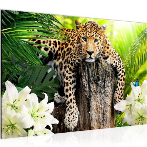 Runa Art Bild Afrika Leopard Modern Wandbilder Wohnzimmer Schlafzimmer 1 Teilig - Made In Germany - Natur Savanne Grün Flur 006715a