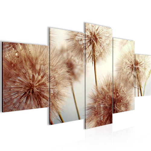 Runa Art Bild Wohnzimmer Schlafzimmer Blumen Pusteblumen 5 Teilig Natur Beige Wandbilder auf Vlies Leinwand 042053b