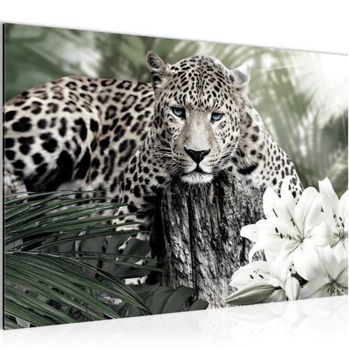 Runa Art Bild Afrika Leopard Modern Wandbilder Wohnzimmer Schlafzimmer 1 Teilig - Made In Germany - Tiere Schwarz Weiss Flur 006715c