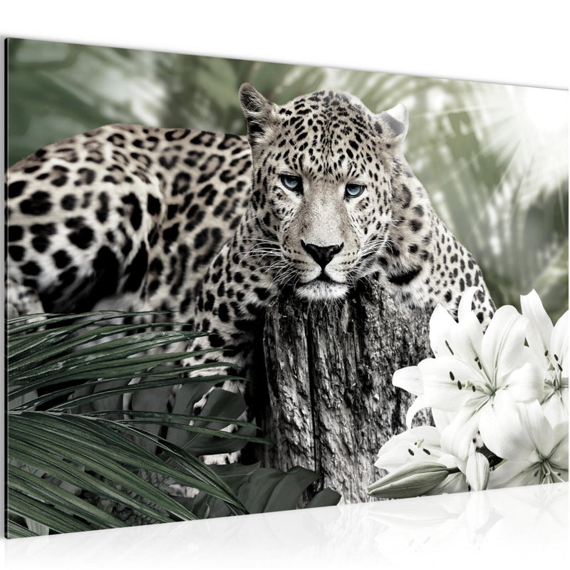 Runa Art Bild Afrika Leopard Modern Wandbilder Wohnzimmer Schlafzimmer 1 Teilig - Made In Germany - Tiere Schwarz Weiss Flur 006715c