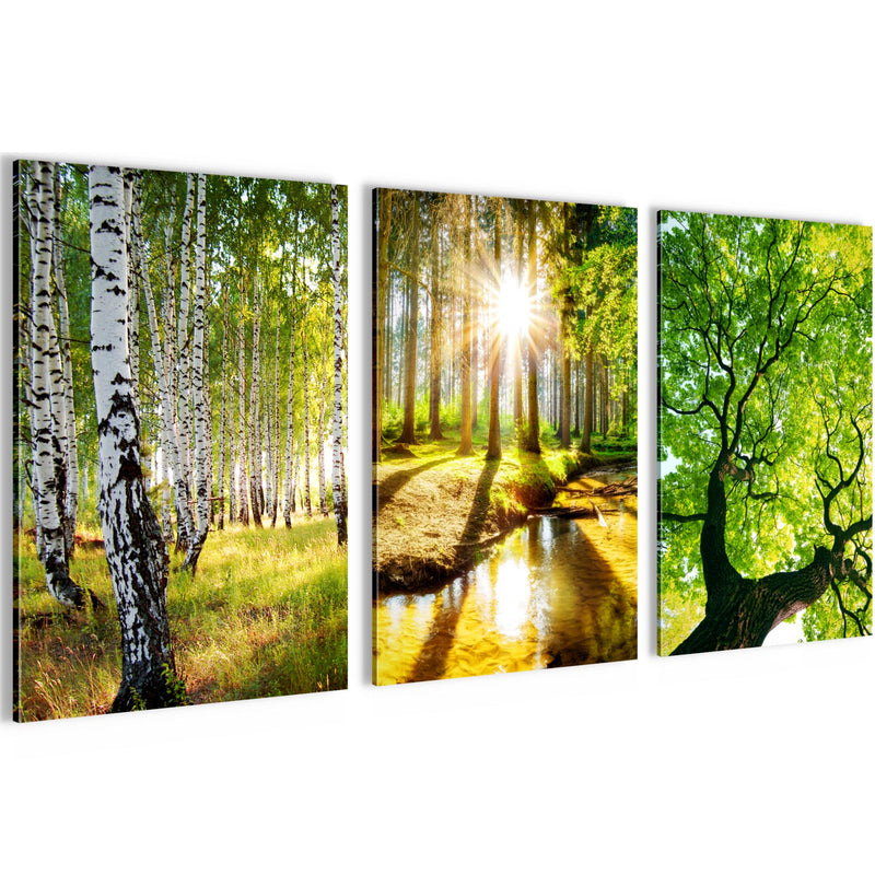 Novart Bilder Set Landschaft - KEIN EXTRA RAHMEN BENÖTIGT - Wandbilder für Wohnzimmer Schlafzimmer Büro - 3 Teilig Deko Waldweg - N036636a