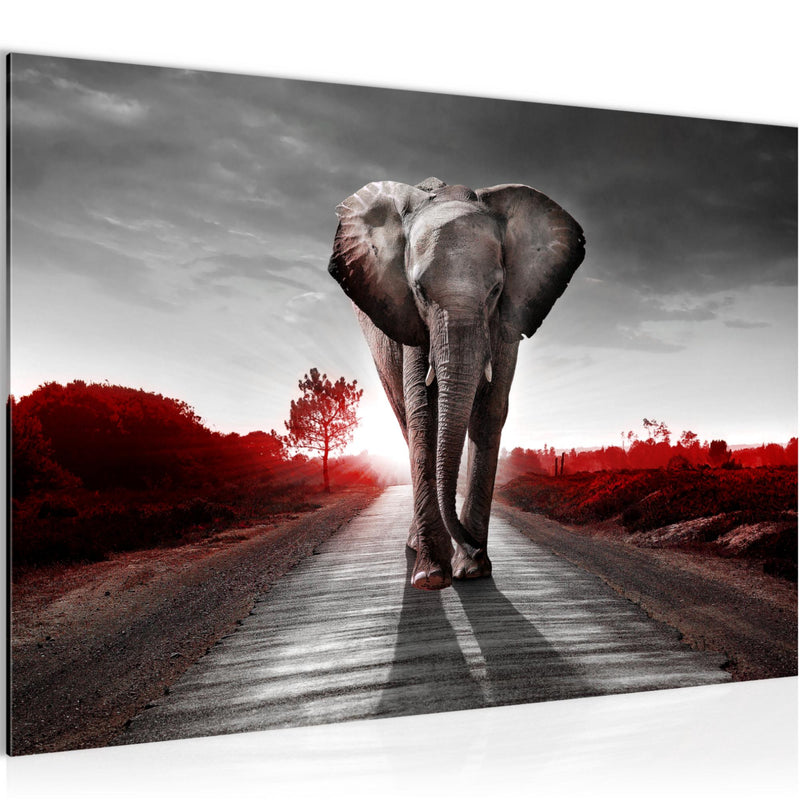 Runa Art Bild Afrika Elefant Modern Wandbilder Wohnzimmer Schlafzimmer 1 Teilig - Made In Germany - Tiere Rot Grau Flur 042615b