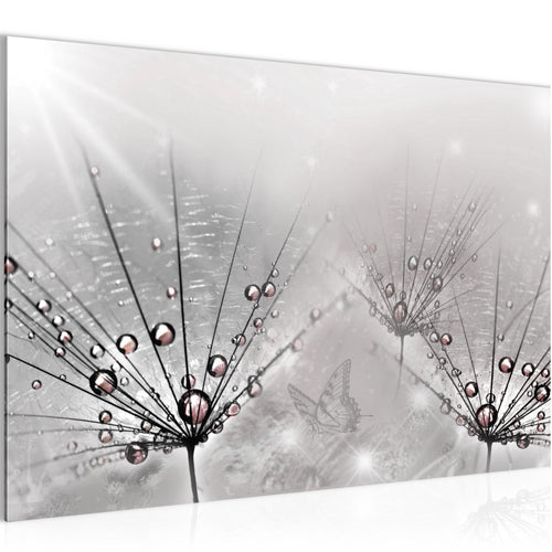 Runa Art Bild Pusteblume Modern Wandbilder Wohnzimmer Schlafzimmer 1 Teilig - Made In Germany - Natur Grau Flur 016915c